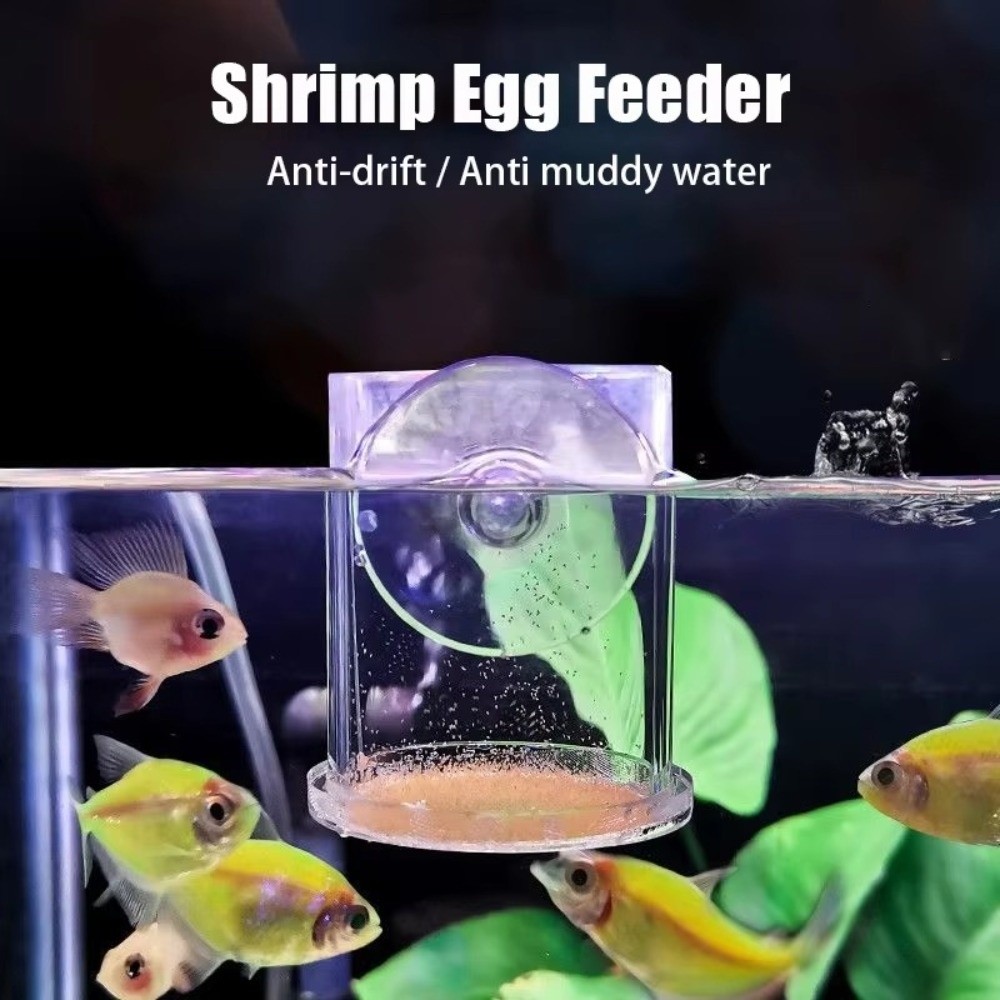 Acrylic Brine Shrimp Feeder Fi - Seaweed Snack ulasan dan harga