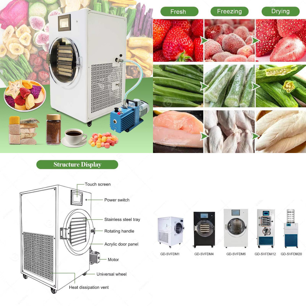 Small Freeze Mini Liofilizador - Dried Fruit ulasan dan harga