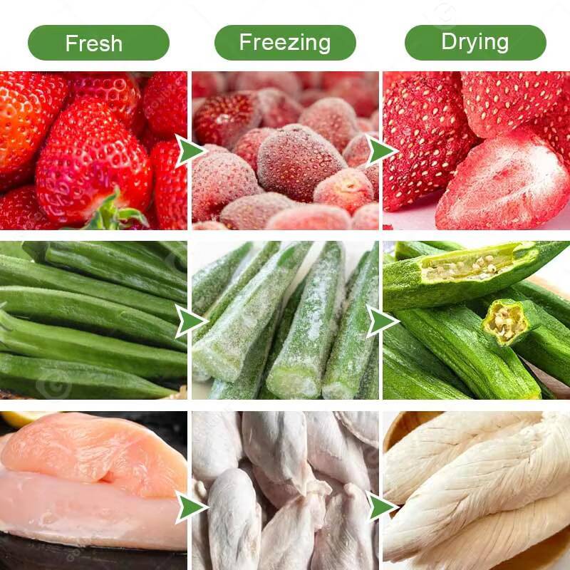 Small Freeze Mini Liofilizador - Dried Fruit ulasan dan harga