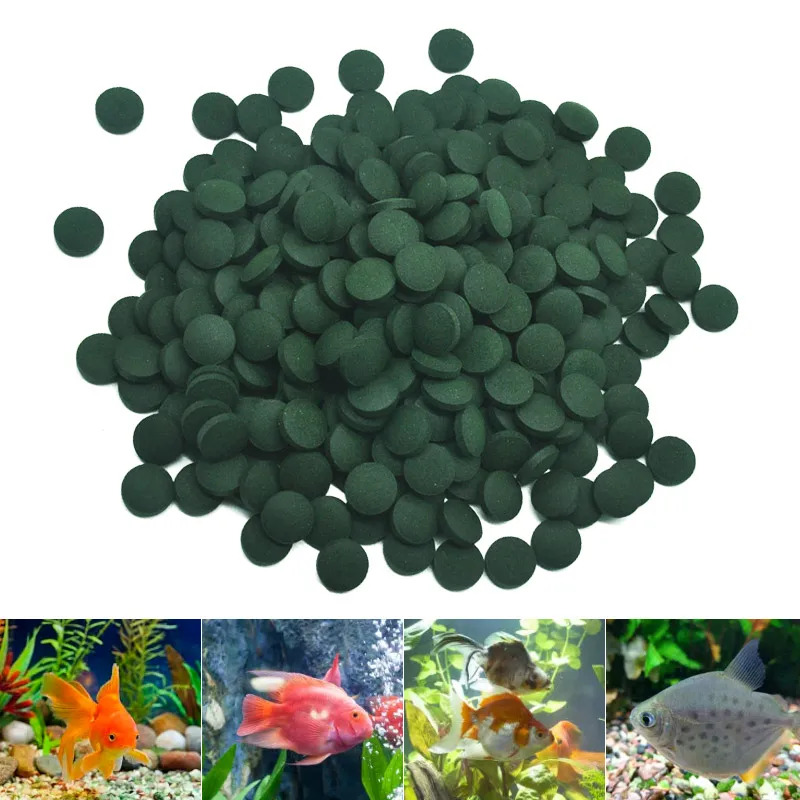 50-300Pcs High Purity Spirulin - Seaweed Snack ulasan dan harga