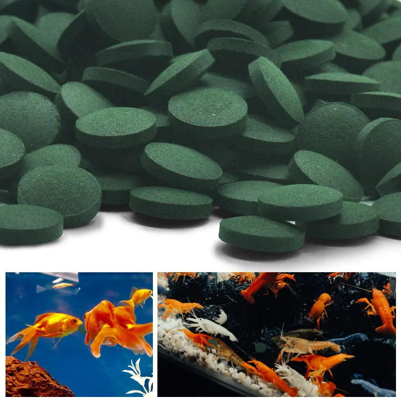 50-300Pcs High Purity Spirulin - Seaweed Snack ulasan dan harga