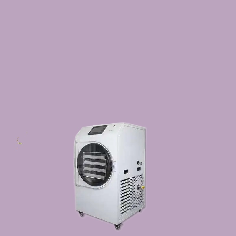Sale Home 6kg Fruit Freeze Dry - Dried Fruit ulasan dan harga